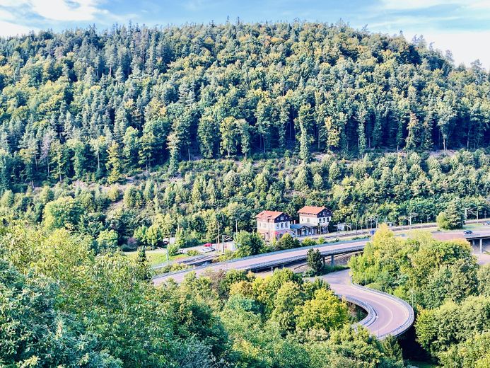 Aussicht von Wohnzimmer (EG)