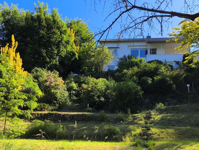 Haus, Blick unten vom Garten