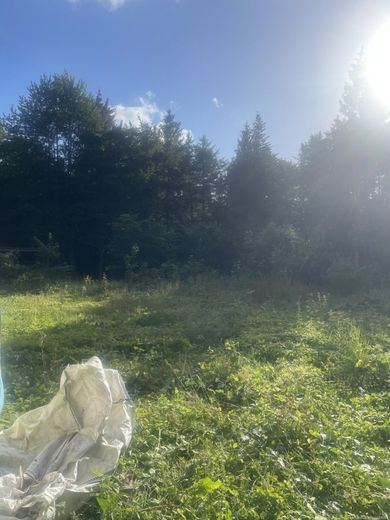 Investoren aufgepasst: Exklusive Kapitalanlage in Quickborn -MFH mit 4.386 m² Grundstück – Hinterer Bereich Grundstück