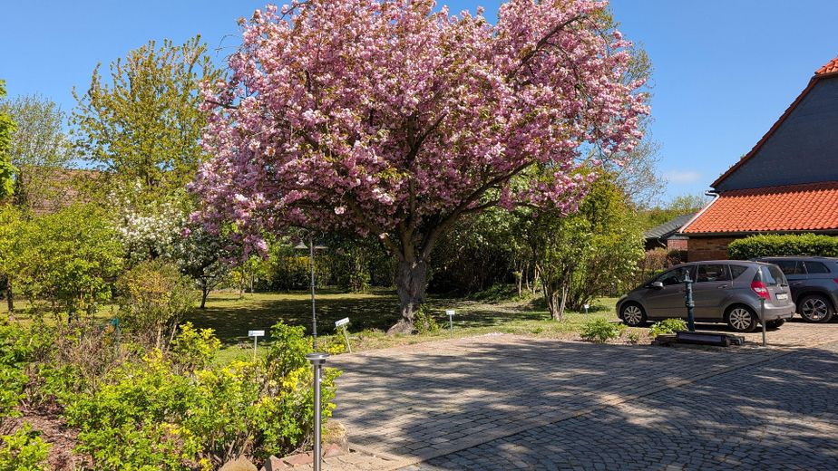 Jeden Tag wie im Urlaub: Wundervolles Landhaus mit Hallenbad, Naturbadeteich und Mieteinnahmen – Obstgarten