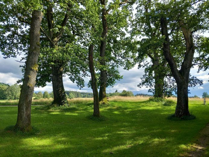 Ein Logenplatz im Grünen – großzügige 3-Zimmer-Wohnung – Umgebung