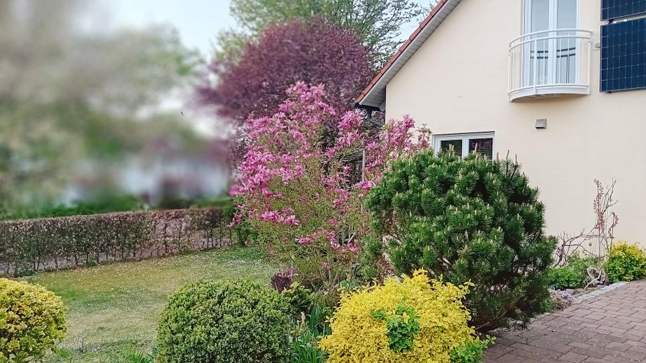 Blick in den vorderen Garten