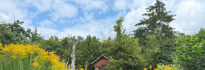 Blick vom Gartentor