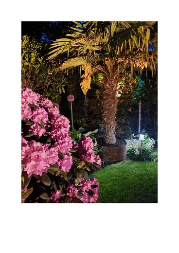 Garten bei Nacht