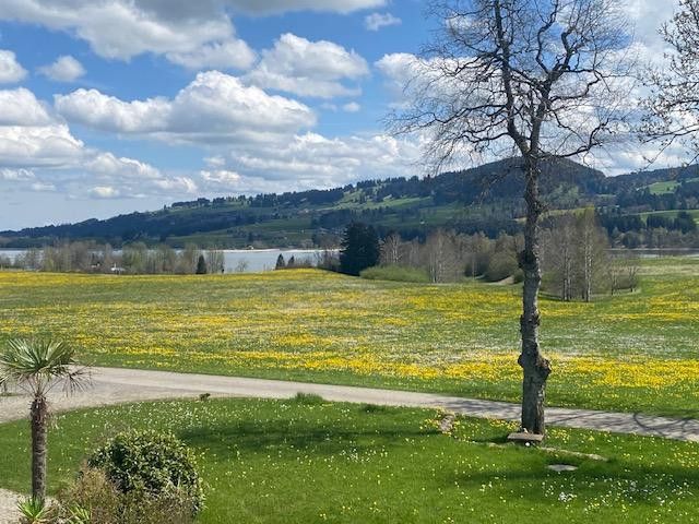 einzigartige Buero/Geschäftsräume im Allgäu bei Kempten, See- und Bergsicht und Business-Fengshui – Naturparadies mit Weitblick
