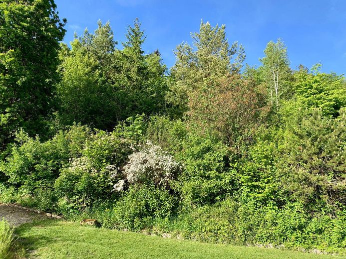 Lage am Wald