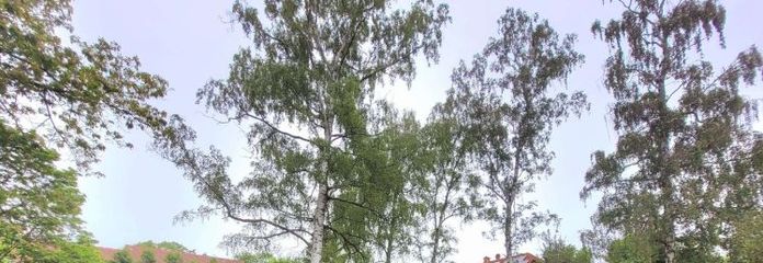 Hof-Moschendorf: Schönes Baugrundstück