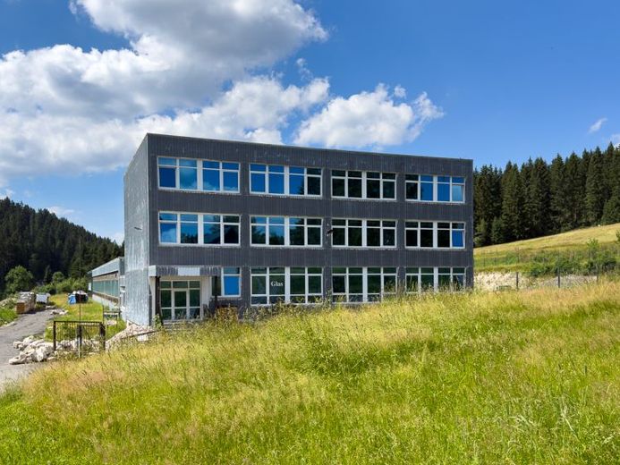 Entwicklungsobjekt in Carlsfeld – ca. 1.275 m² Nutzfläche mit Wohnpotenzial – फोटो 1