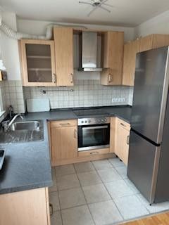 Schöne, zentrale 2-Zimmer-Single-Wohnung mit Küche und Bad in Nilkheim – Offene Küche 