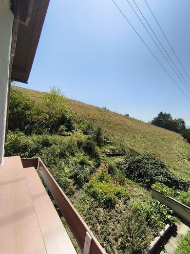Besser leben im Allgäu – Gemeinschaftsgarten SÜD-WEST