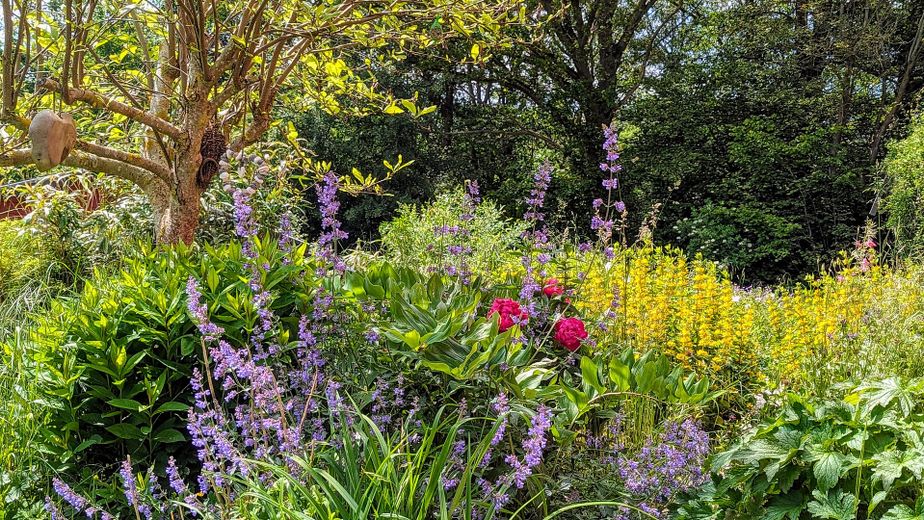 290 m² + 2.464 m² Naturidyll | Pool & Gartensauna | Aartalblick | Mehrgenerationen o. Vermietung – Garten Impressionen