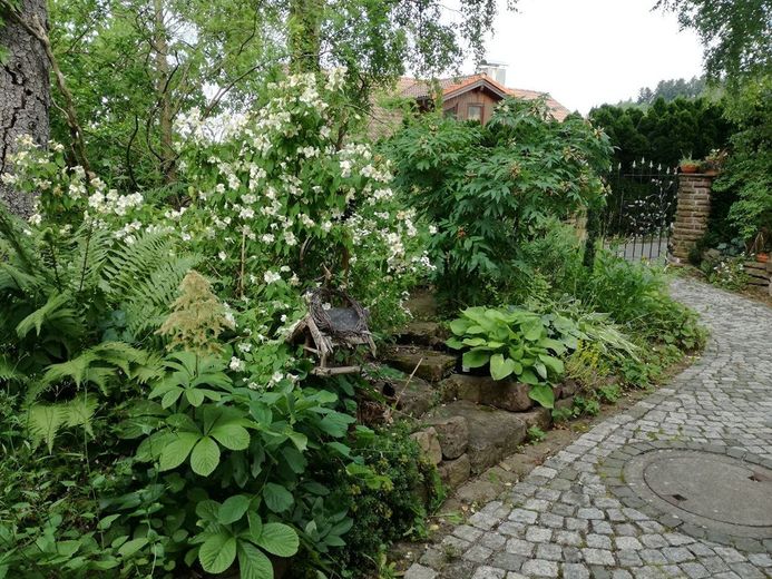 Dom z mieszkaniem dodatkowym 255 m², ogród 3966 m², bez prowizji, bez barier architektonicznych, na skraju wsi, – Photo 23
