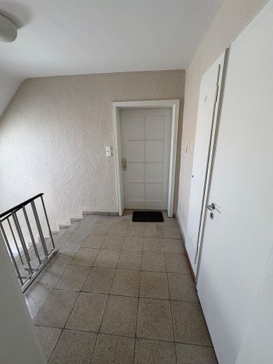 HELLE 3 Zimmer Wohnung - Erstbezug nach Renovierung – Wohnungstür