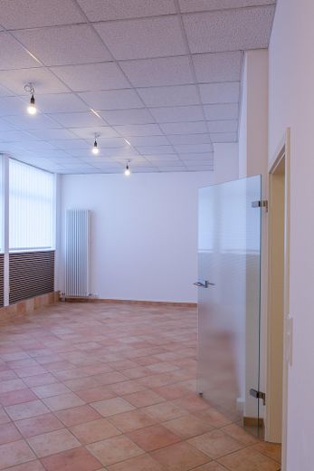 3-Zimmer EG-Wohnung im Loft-Stil in Mannheim-Rheinau Erstbezug nach Sanierung – Wohnzimmer/offene Küche