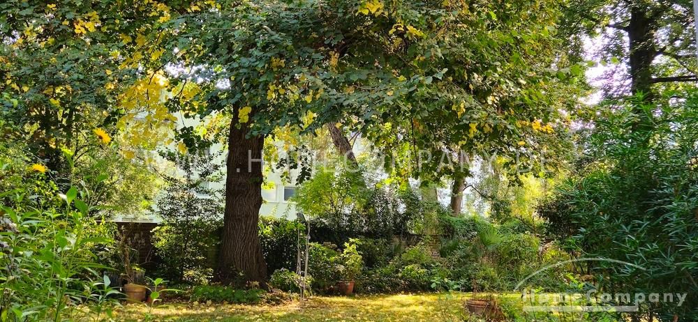 Große moderne möblierte Wohnung in bester Lage direkt am Volksgarten in Köln-Südstadt! – c840414452d816afcce786bda6b134c9734668ad.jpg