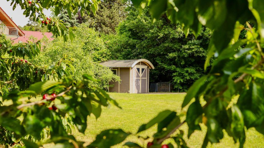 das Gartenhäuschen