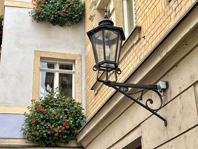 Gemütliche 2-Zimmer-Wohnung in Meißner Altstadt (mit Balkon) - frisch renoviert! – Detail