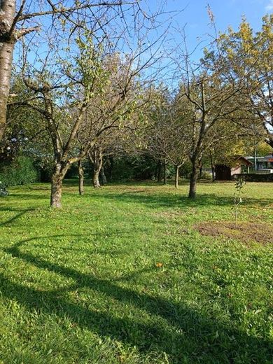Apartament zamkowy nad Jeziorem Bodeńskim – osobne wejście, szybki internet do pracy z domu, dostępny od zaraz – Garten 