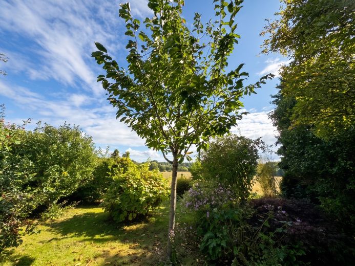 Senza provvigione: porzione di bifamiliare in stile casa svedese con sauna, ampio giardino e vista sui campi – Feldblick aus dem Garten