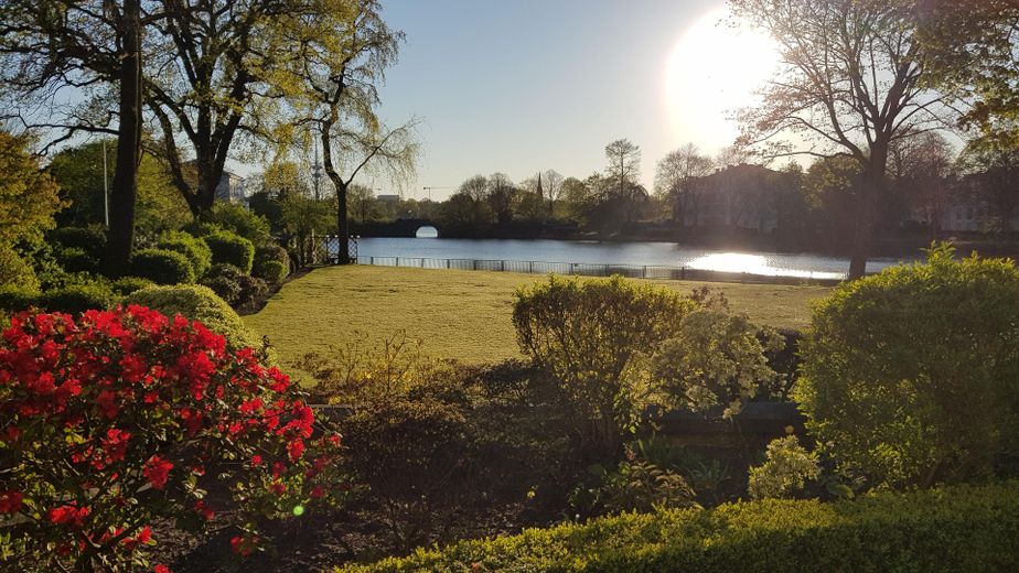 JOKER : 2 Zi. möbliert direkt an der Alster  mit Garten Süd-West - BLICK auf den FEENTEICH – ... zum Süden