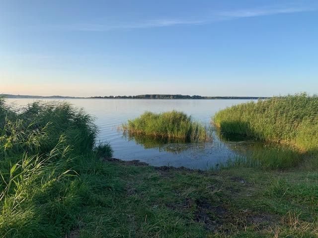 Bodden