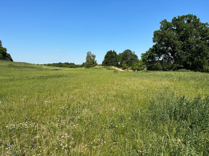 Reserviert: Ruhiges Baugrundstück in Breetze – Foto 1