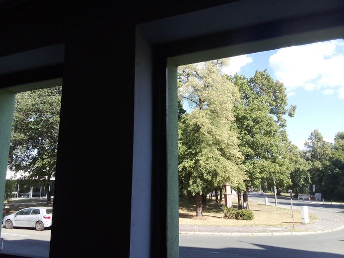 Aydınlık 2 odalı – Sakin ve yeşil – St. Jobst / Erlenstegen – Wöhrder See’ye 1 dakika – Garaj – Ausblick vom Wohnzimmer