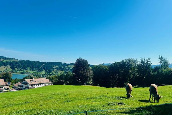 Wohnen oberhalb des Alpsees – Eigentumswohnung mit traumhafter Lage im Allgäu