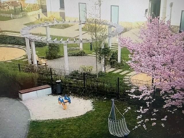 ruhige 4 Zi.-Whg mit Südloggia zum grünen Innenhof in Berlin Mitte – provisionsfrei – mit vielen Grünflächen