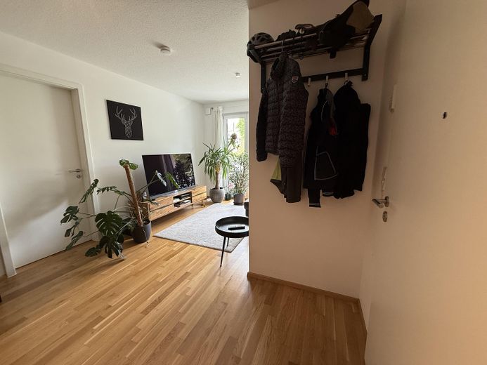 Eingangsbereich/ Wohnzimmer
