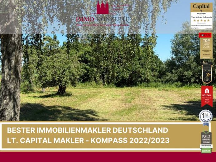 Platz für Ihr neues Zuhause - Baugrundstück in Goldenstädt – Foto 1