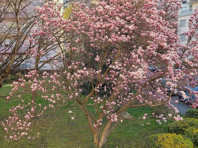 Blick aus der Küche