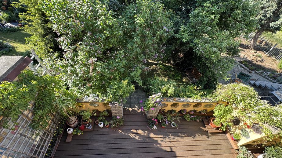 Terrasse und Garten vom Balkon