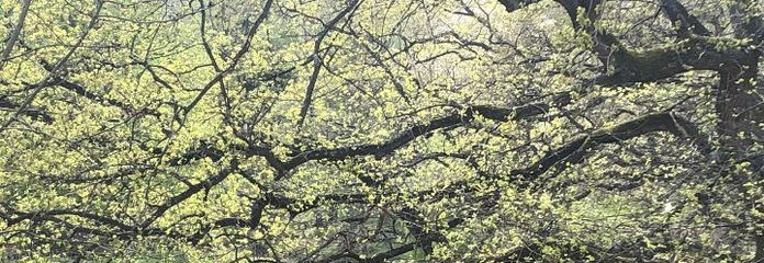 Direkt im Grünen am Wildpark