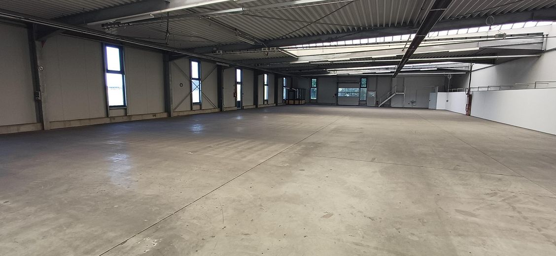 Produktions-, Lager- und Büroflächen in Salzkotten – Hallenfläche_1