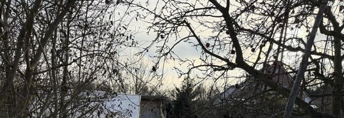 IN RUHIGER LAGE ZUM AUSBAU IHRER TRÄUME