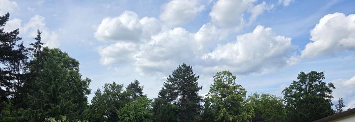 Blick Terrasse -> Garten
