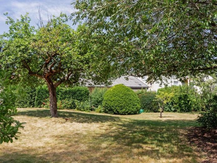 Achtung Luxpendler-Freistehendes Wohnhaus mit Einliegerwohnung + tollem Grundstück Wasserliesch – Foto 1