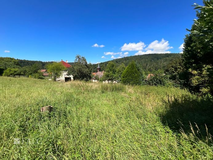 Wohnen mit Weitblick: Traumgrundstück mit unverbaubarer Aussicht in Pforzheim-Würm – Ansicht zur Straße