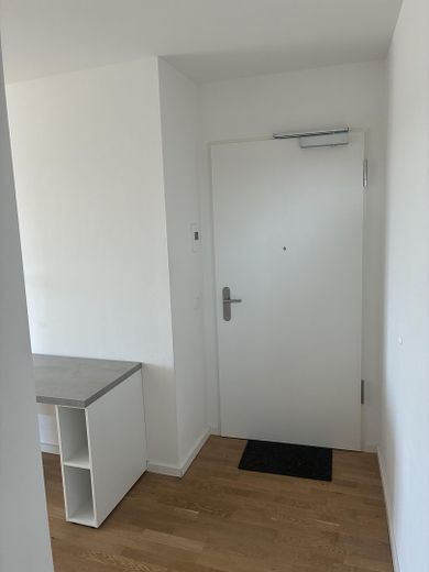Eingangsbereich/Wohnungstür