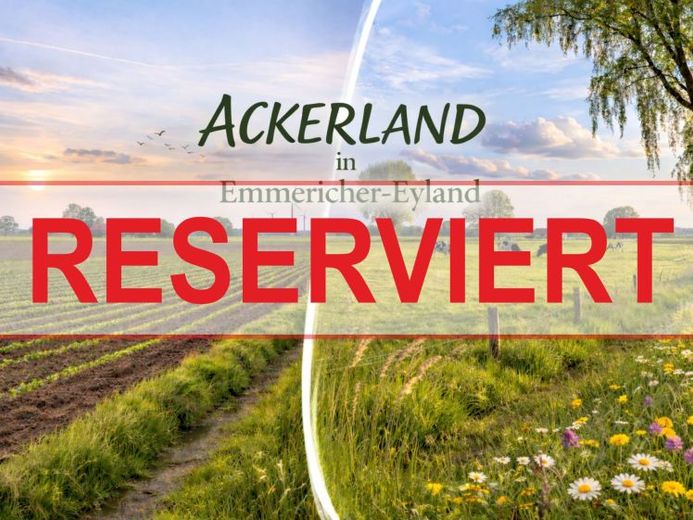 Terres arables facilement accessibles à Emmericher-Eyland ! – Foto 1