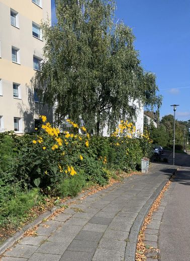 Vivienda moderna con balcón y plaza de aparcamiento en garaje subterráneo cerca del Rin – Umgebung