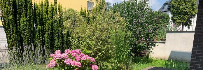lichtdurchflutete 2-Zimmerwohnung mit Terrasse, Stadtteil Niederursel – Terrasse mit Garten 