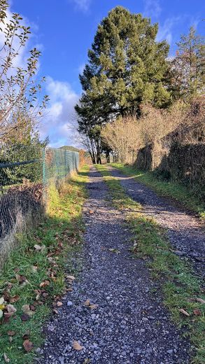 Wanderweg direkt am Haus
