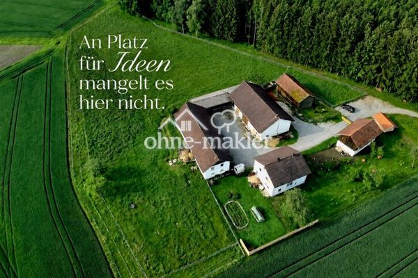 Small farm/farmhouse in an absolutely secluded location on the edge of the forest
