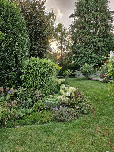 Helles, freistehendes Einfamilienhaus mit großem Garten in Bad Nauheim – Nieder-Mörlen – Garten, Südseite