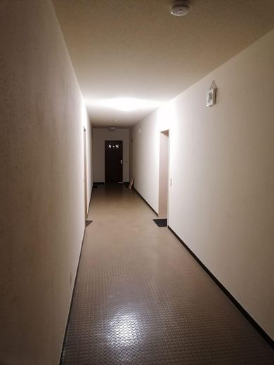 🌿 Bezugsfertig vollmöbliert – 1-Zimmer-Wohnung im vollsanierten A+-Haus mit Balkon! 🌳 – Flur