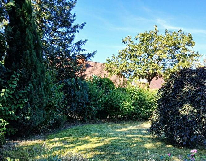 Großzügiges Einfamilienhaus auf 1000 qm in Paderborn Kernstadt – Garten im Sommer