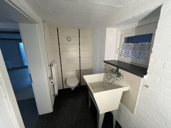 Keller WC mit Hundewaschbecken