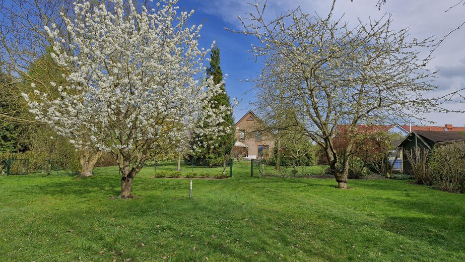 Blick vom Teich zum Haus